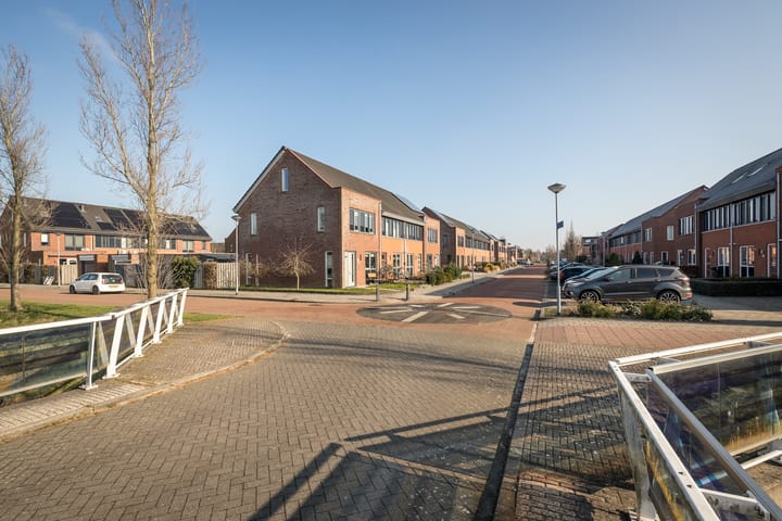 Foto 35 van Scholekster 30