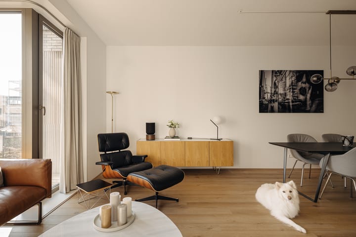 Foto 11 van Mortelstraat 117