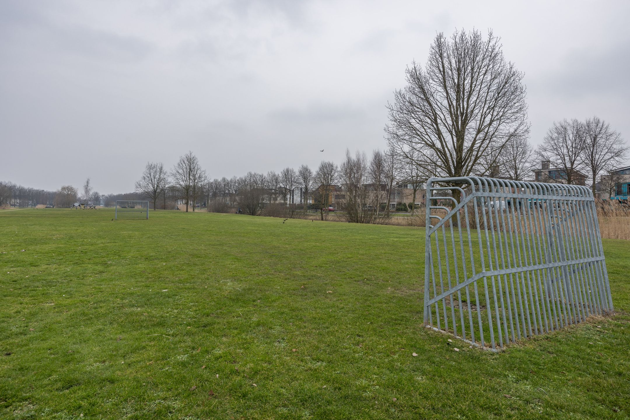 Foto 51 van Kopenhagenstraat 36