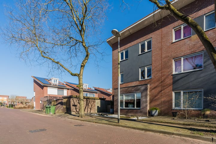 Foto 3 van Aardbeivlinder 1