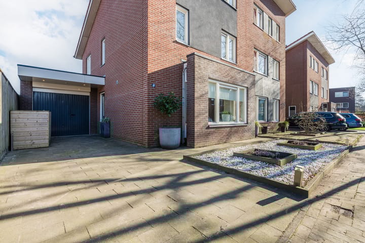 Foto 4 van Aardbeivlinder 1