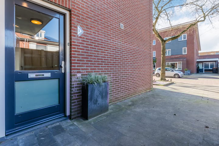 Foto 5 van Aardbeivlinder 1