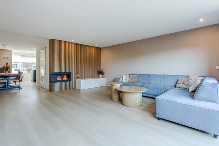 Foto 9 van Aardbeivlinder 1