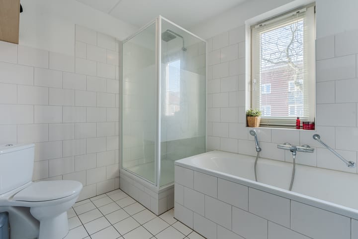 Foto 37 van Aardbeivlinder 1