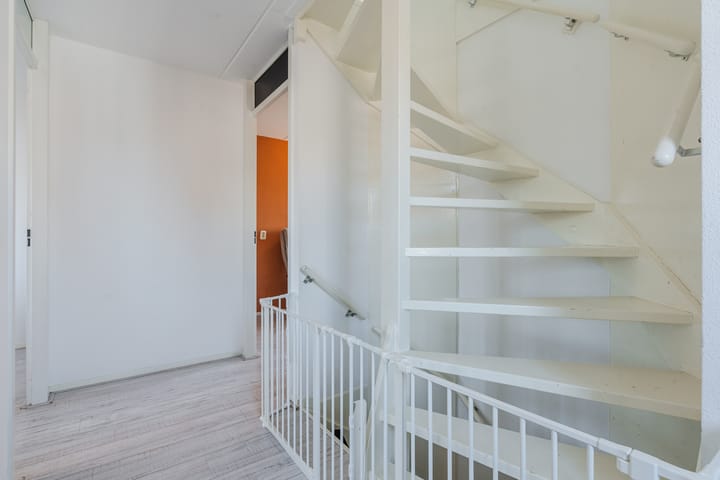 Foto 41 van Aardbeivlinder 1