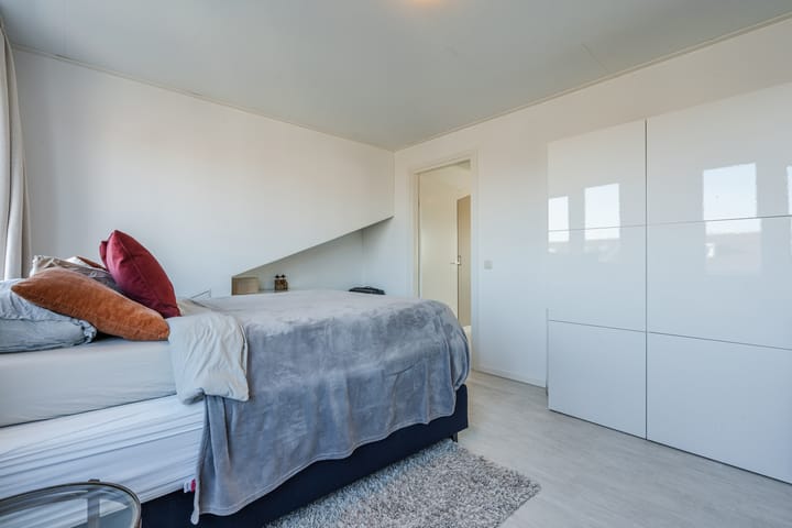 Foto 48 van Aardbeivlinder 1