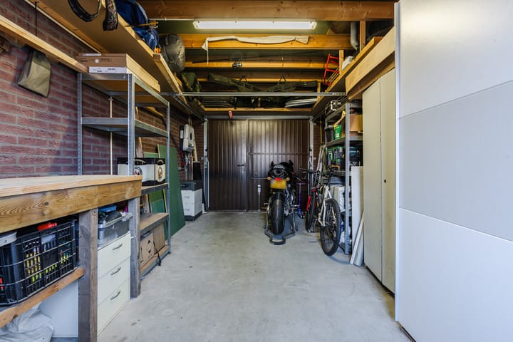 Foto 50 van Aardbeivlinder 1