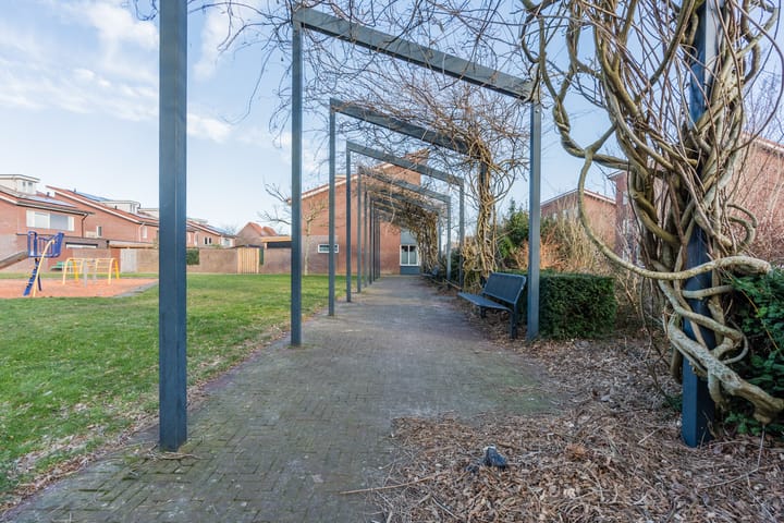 Foto 58 van Aardbeivlinder 1