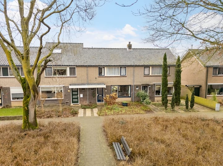 Foto 26 van Lintelostraat 59