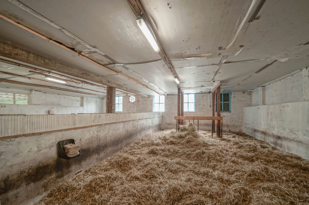 Photo 41 of Musselweg 156