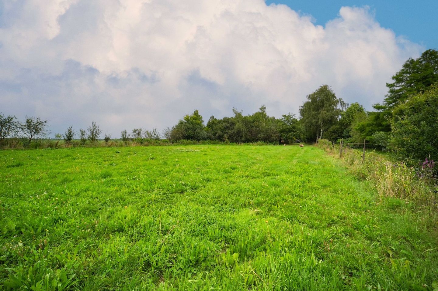 Photo 50 of Musselweg 156