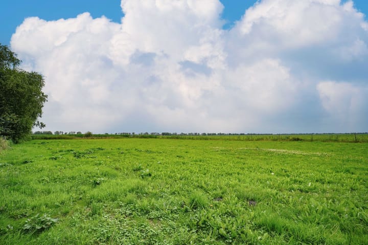 Foto 51 van Musselweg 156