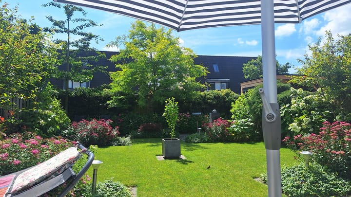 Foto 46 van Seneca 11