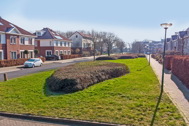 Foto 50 van Seneca 11