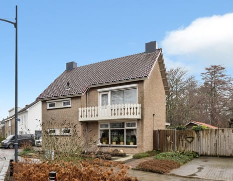 undefined main image