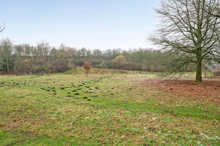 Foto 39 van Vondersestraat 47