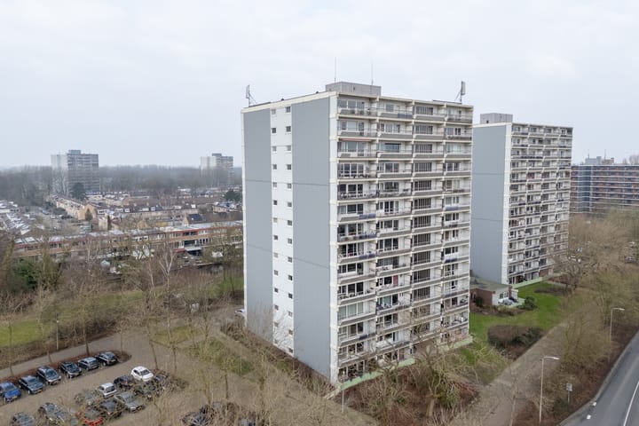 Foto 1 van De Roerdomp 69