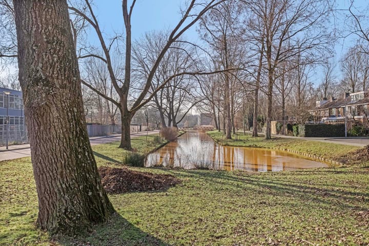 Foto 29 van Van der Helmstraat 444