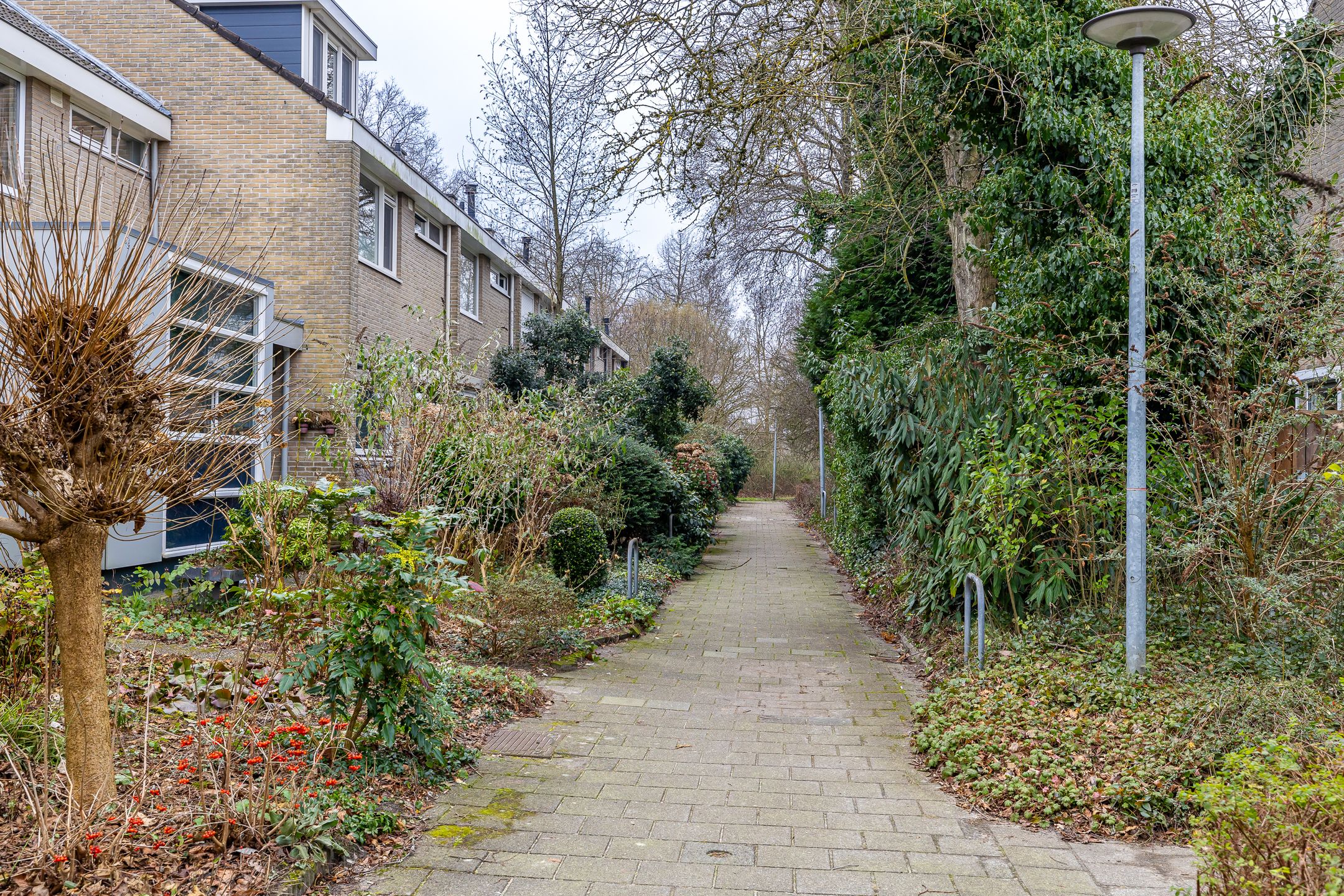 Foto 27 van Hélène Swarthlaan 79