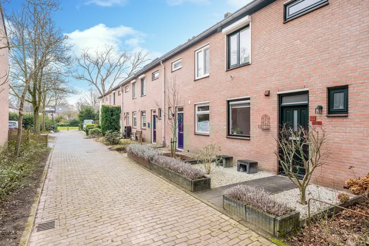 Foto 8 van Leemkuylen 103