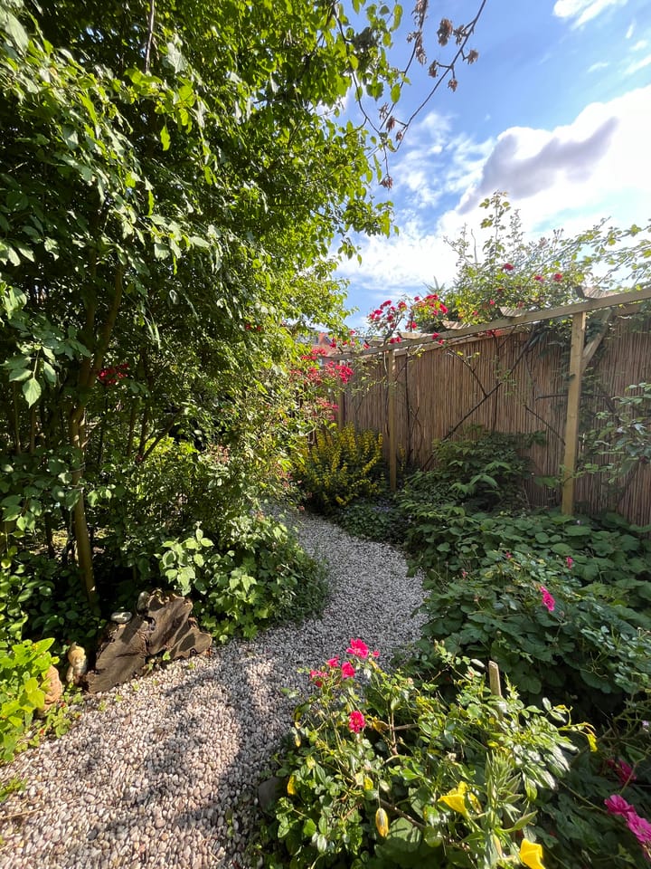 Foto 44 van Sportlaan 83