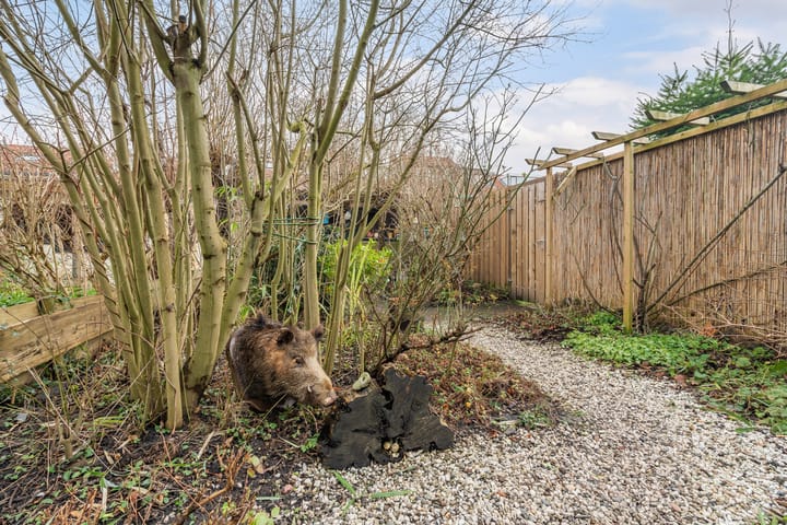 Foto 45 van Sportlaan 83