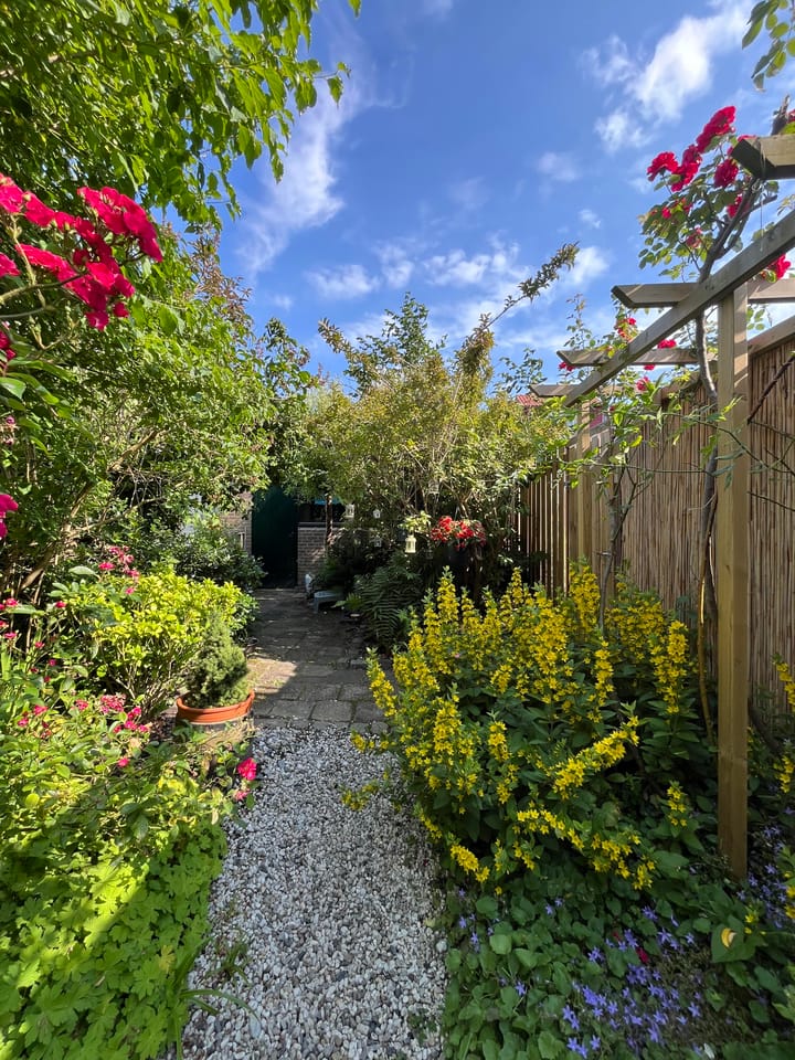 Foto 46 van Sportlaan 83