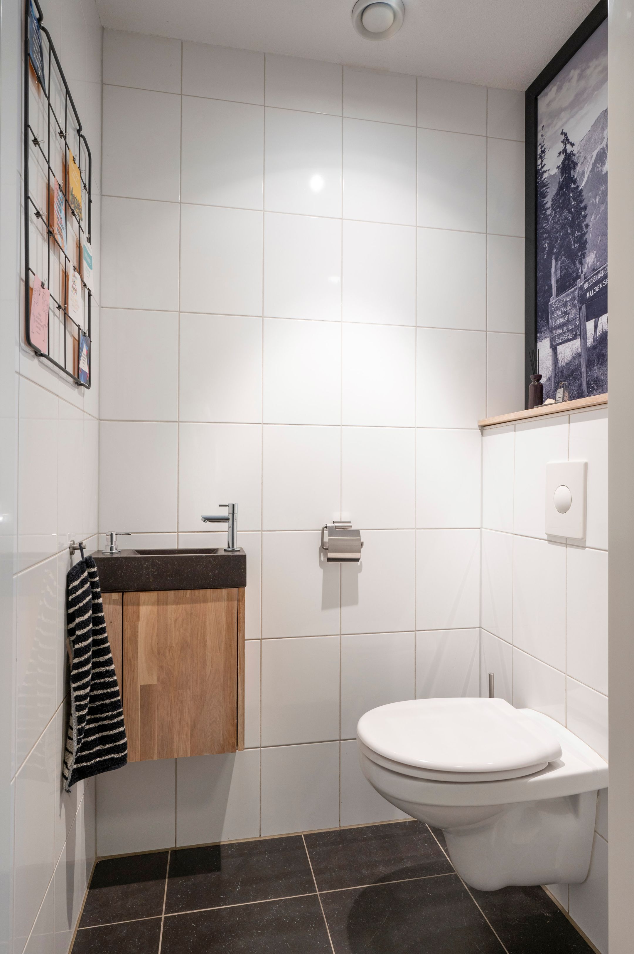 Foto 12 van Tiberius 3