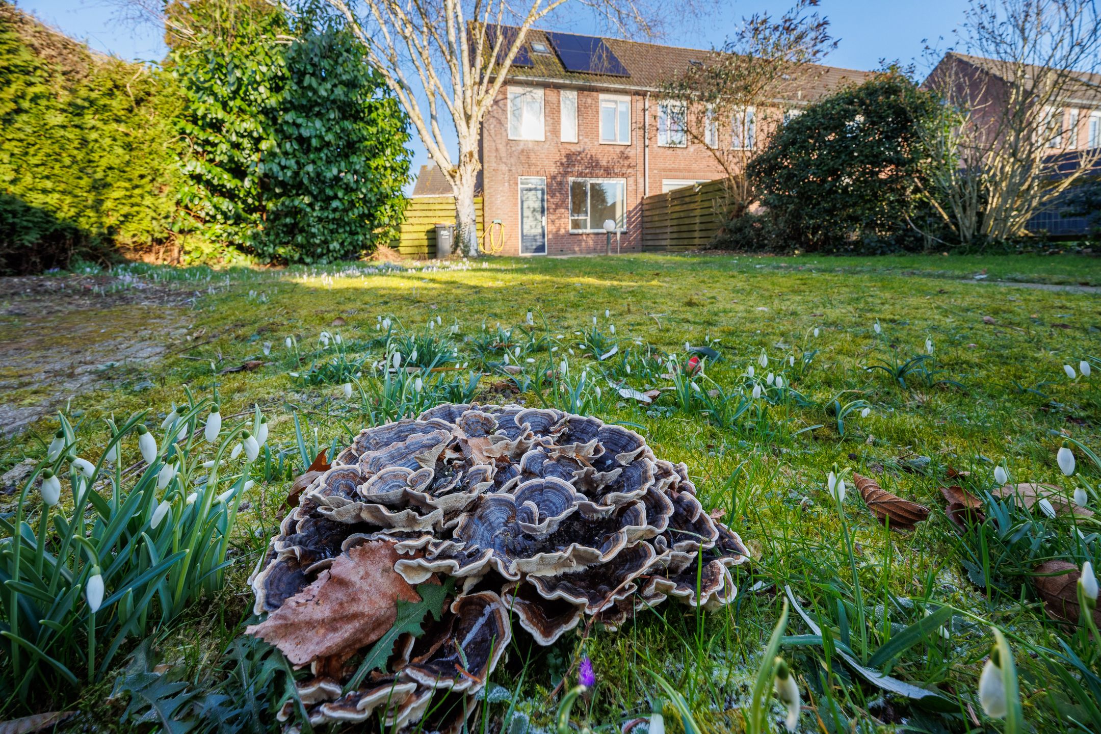 Foto 27 van Ekelen 18