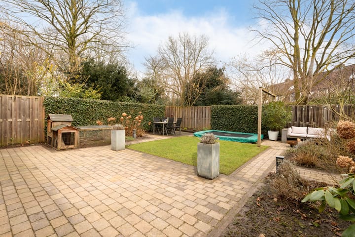 Foto 41 van Jan Steenhof 11