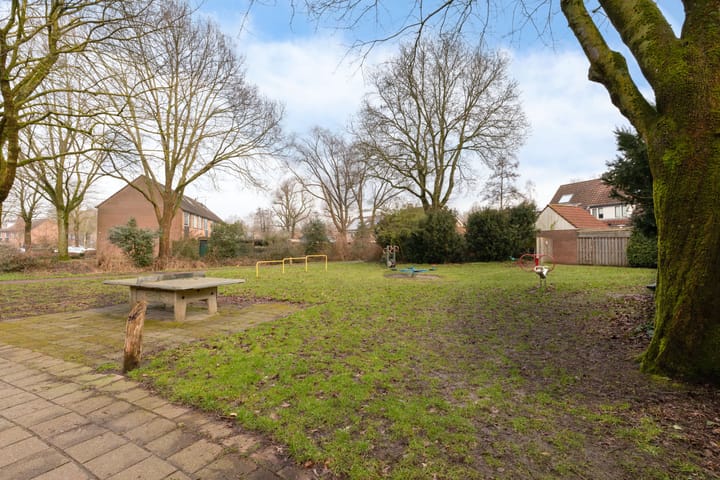 Foto 47 van Jan Steenhof 11