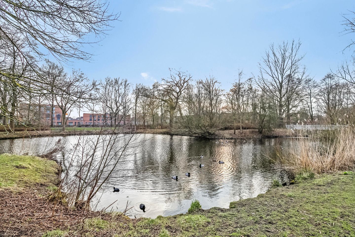 Foto 34 van Galkemaheerd 41