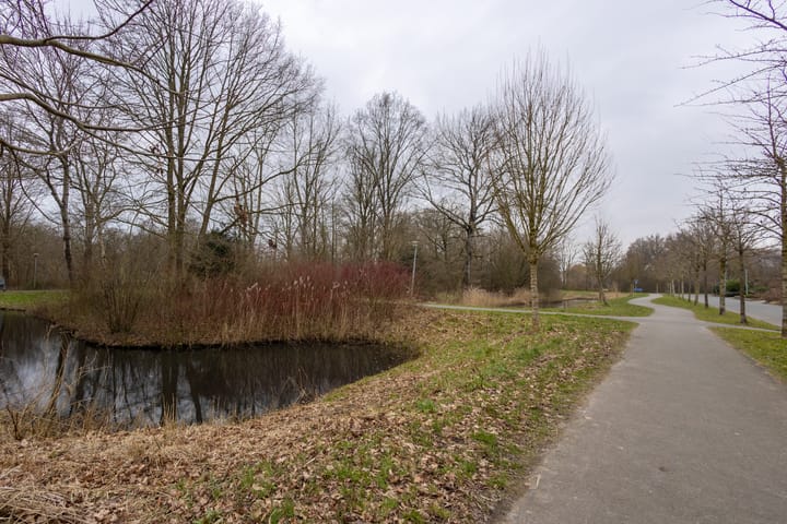 Foto 25 van Heemskerkstraat 12