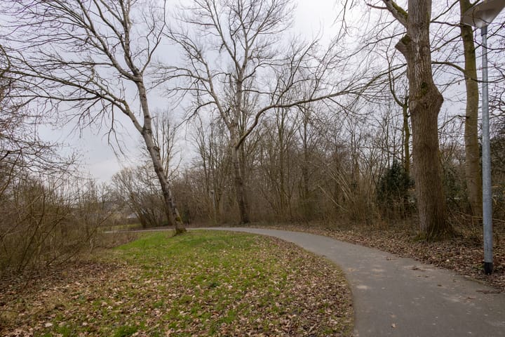 Foto 26 van Heemskerkstraat 12