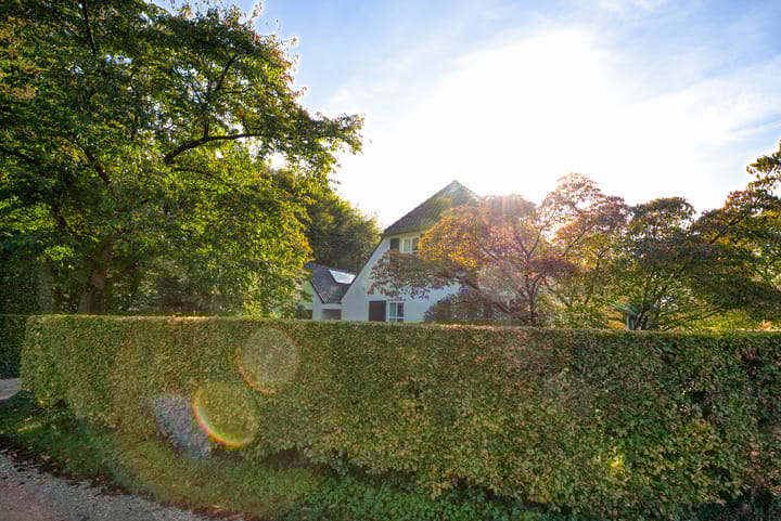 Foto 33 van Hoog Soeren 34