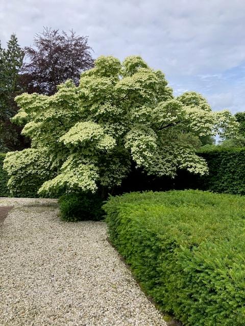 Foto 51 van Hoog Soeren 34