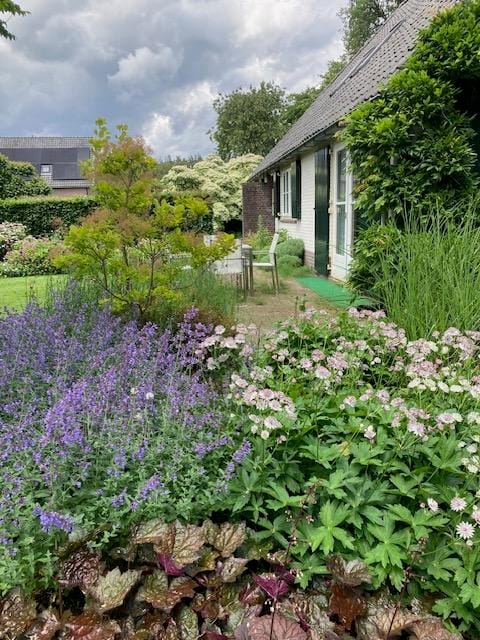 Foto 52 van Hoog Soeren 34