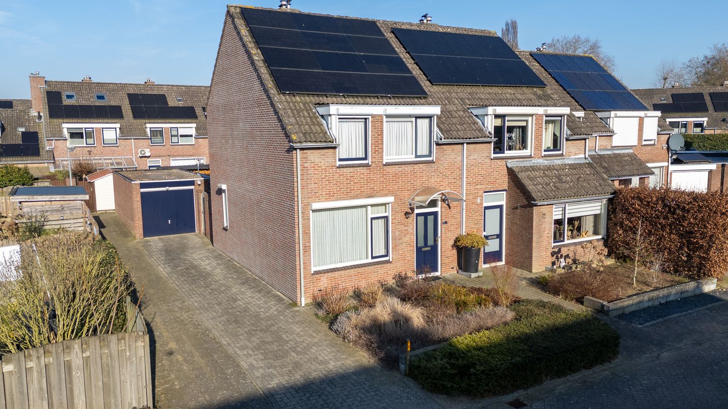 Foto 5 van de Plataan 98