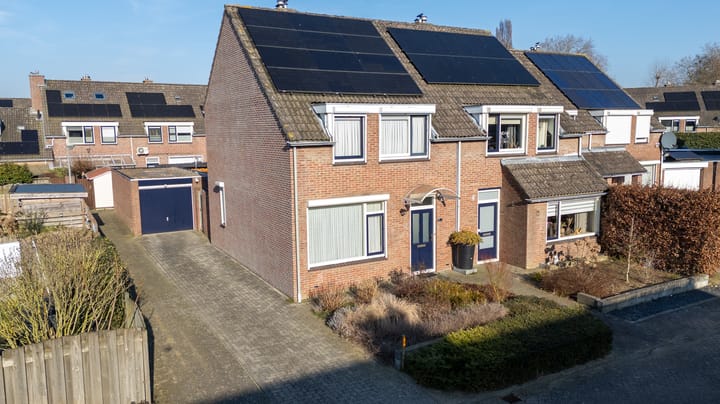 Foto 5 van de Plataan 98