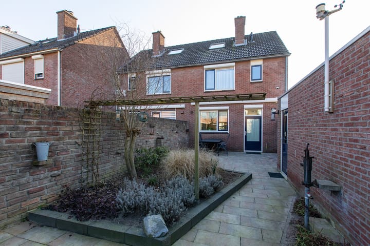 Foto 6 van de Plataan 98