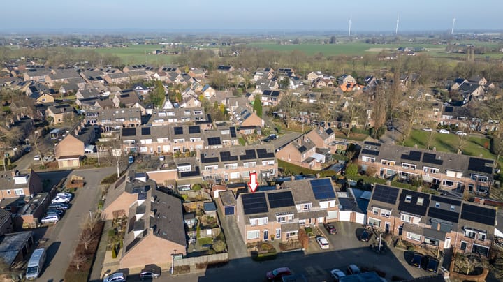 Foto 7 van de Plataan 98