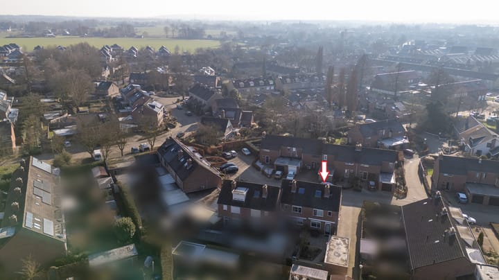 Foto 8 van de Plataan 98