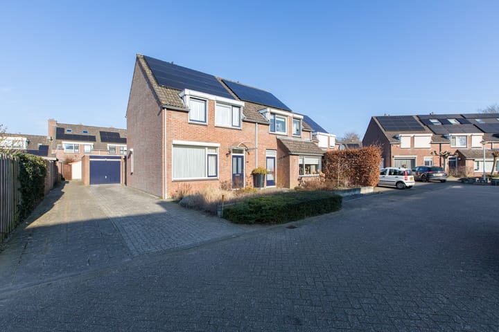 Foto 9 van de Plataan 98