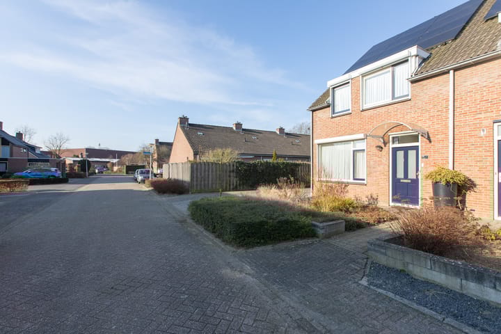 Foto 10 van de Plataan 98