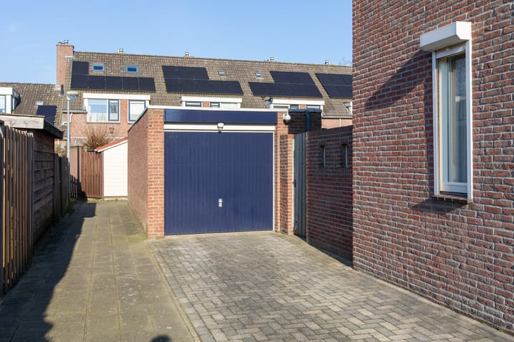 Foto 12 van de Plataan 98