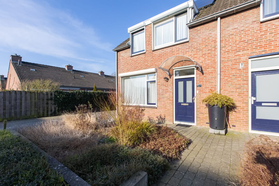 Foto 13 van de Plataan 98