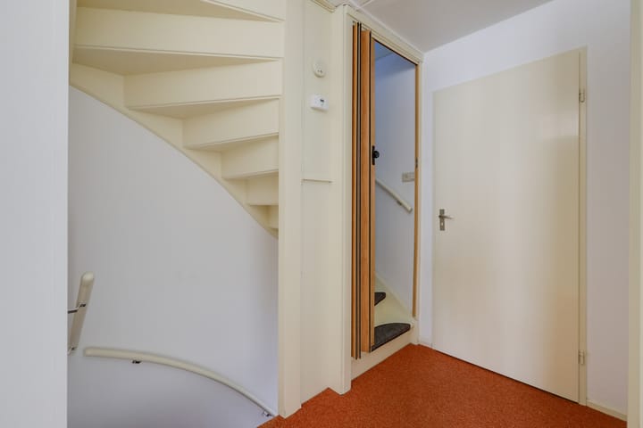 Foto 27 van de Plataan 98