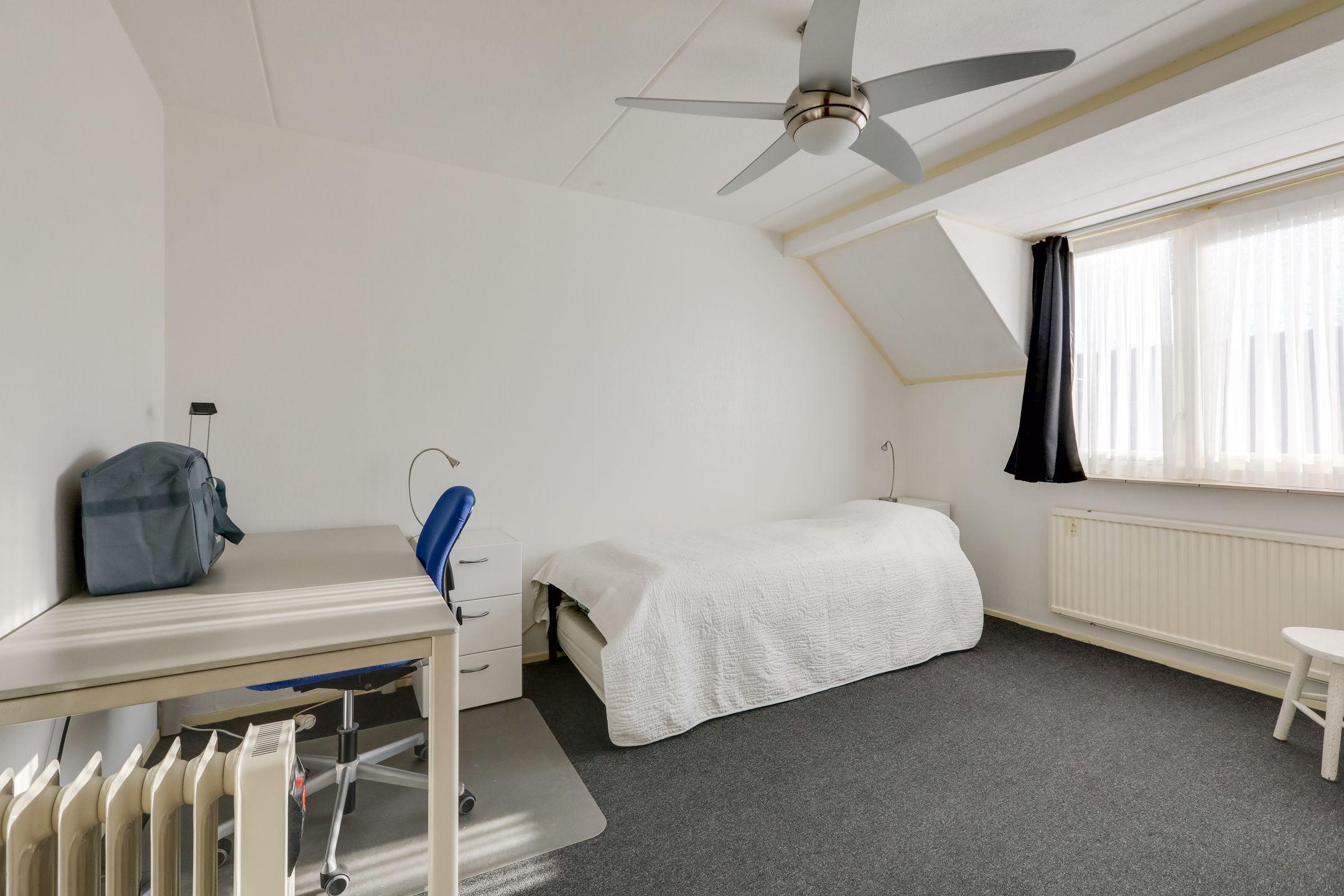 Foto 30 van de Plataan 98