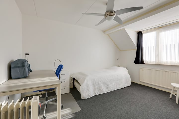 Foto 30 van de Plataan 98