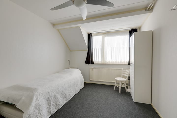 Foto 31 van de Plataan 98